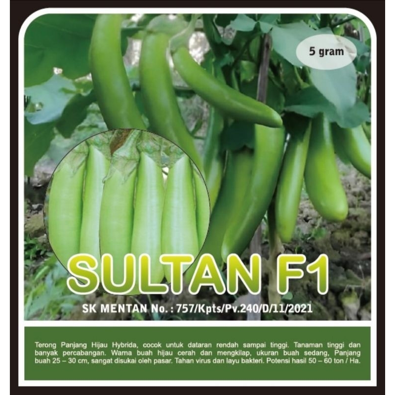 

Terong Panjang Hijau SULTAN F1