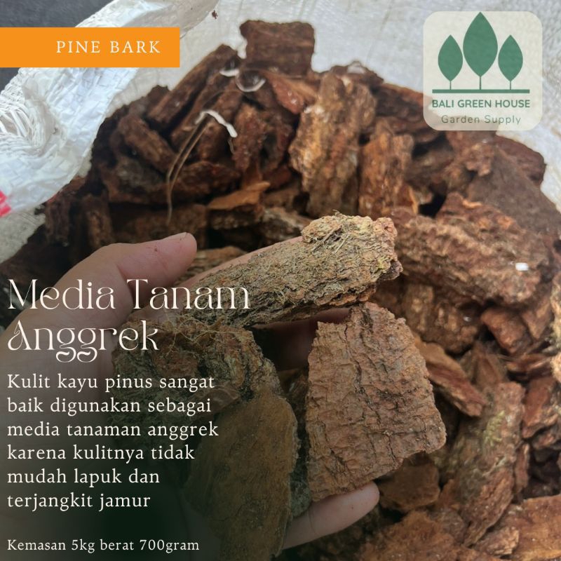 Pinebark / Kayu Pinus / Media Anggrek / Pinus Cacah