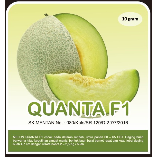 

Melon Daging Putih QUANTA F1
