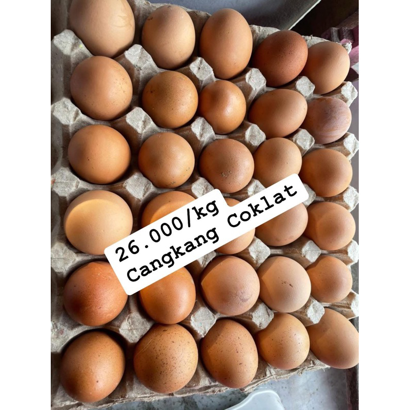

TELUR AYAM SEGAR CANGKANG COKLAT MURAH MERIAH