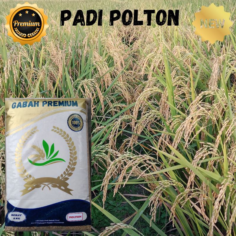 

PADI POLTON BOBOT SUPER - BERAT 5KG