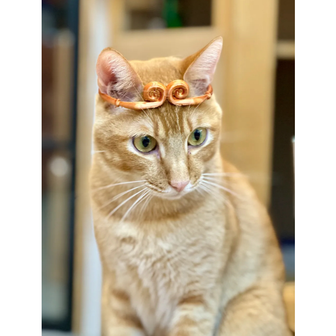 Cuero Topeng Kucing Wukong kera sakti