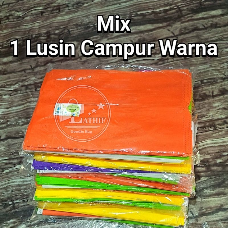 

(isi 12PCS) Tas spunbond Box Dus 20x20 & 22x22 Mix Warna Goodie Bag Harga per Lusin