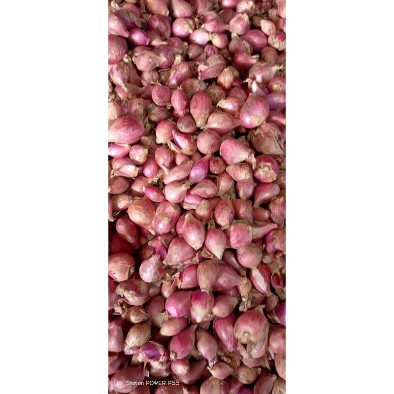 

bawang merah kecil 1kg lokal nganjuk