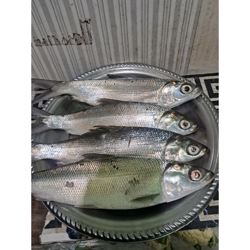 

Bandeng Fresh 1/2kg