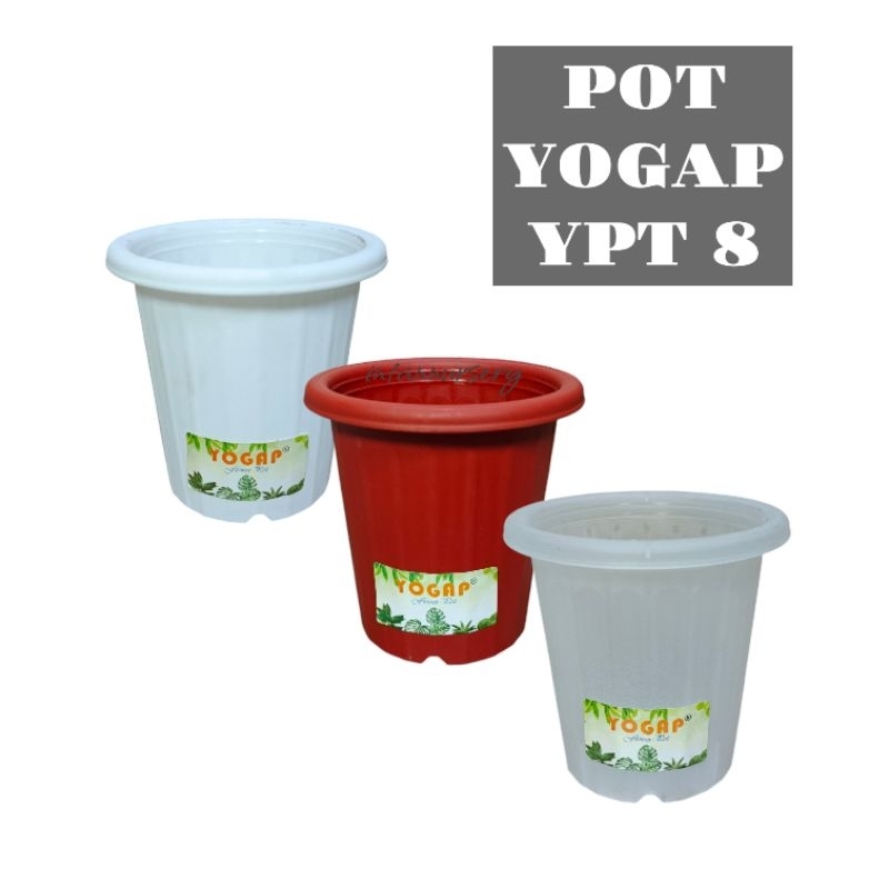 Pot Yogap YPT 8 Putih Merah Bata Transparan Pot Tinggi Tanaman Bunga Hias Kaktus Sansivera Mini Ting