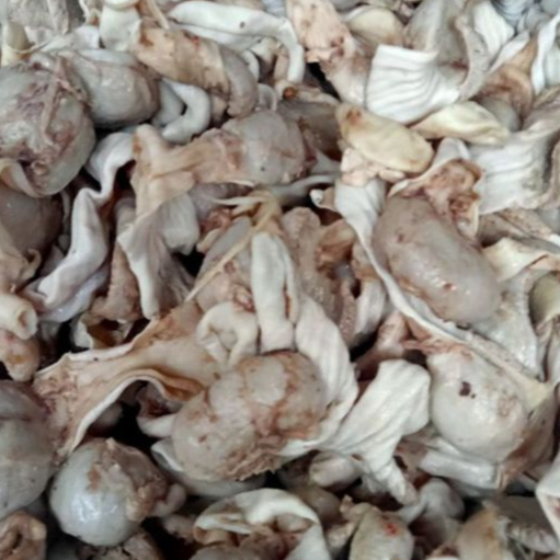 

Tembolok Ayam 1KG (Fresh Chicken Gizzards)