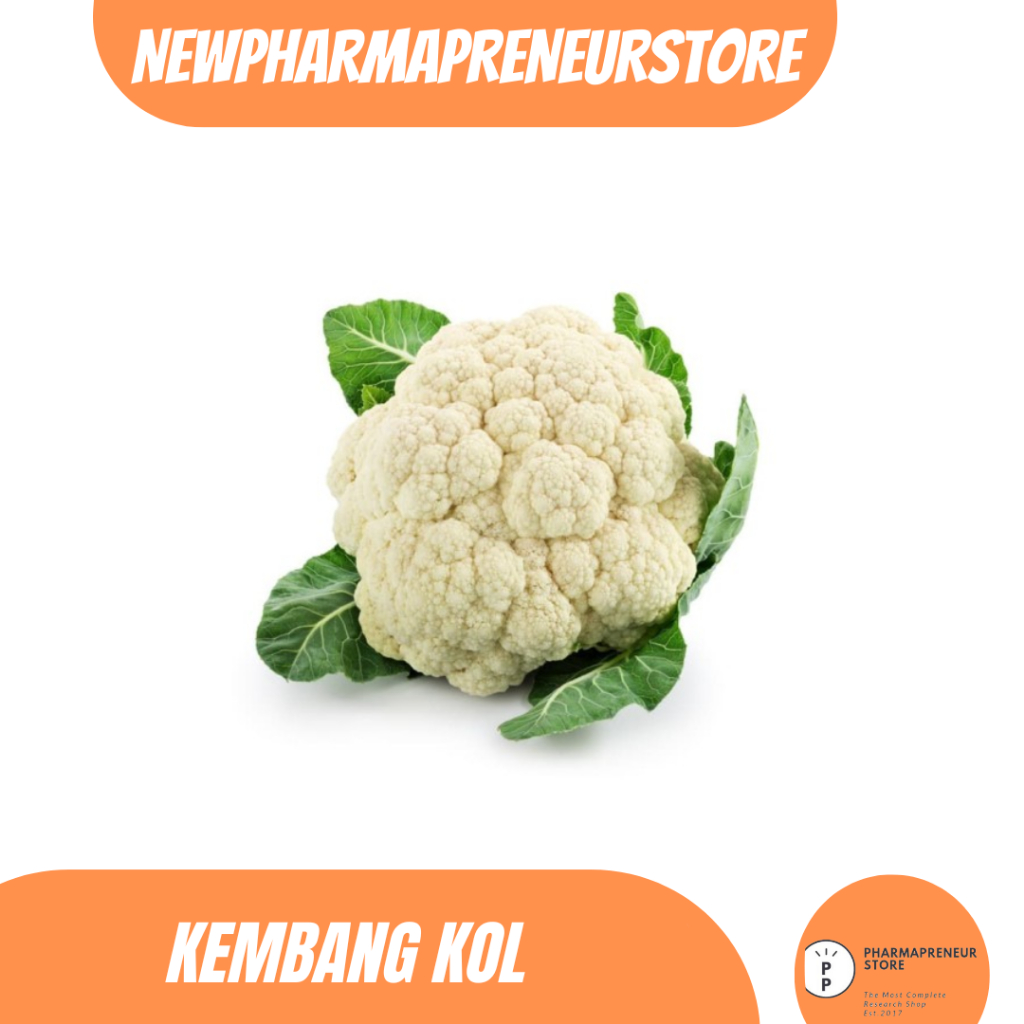 

DRIED SERBUK KEMBANG KOL BEST QUALITY