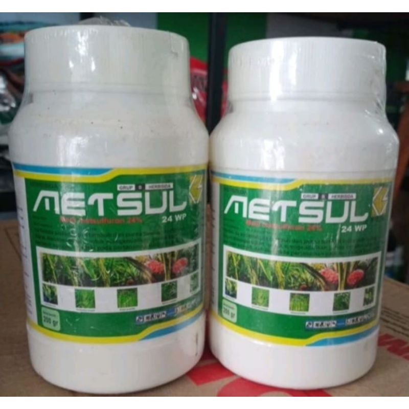 METSUL 24 WP / 200 gr
