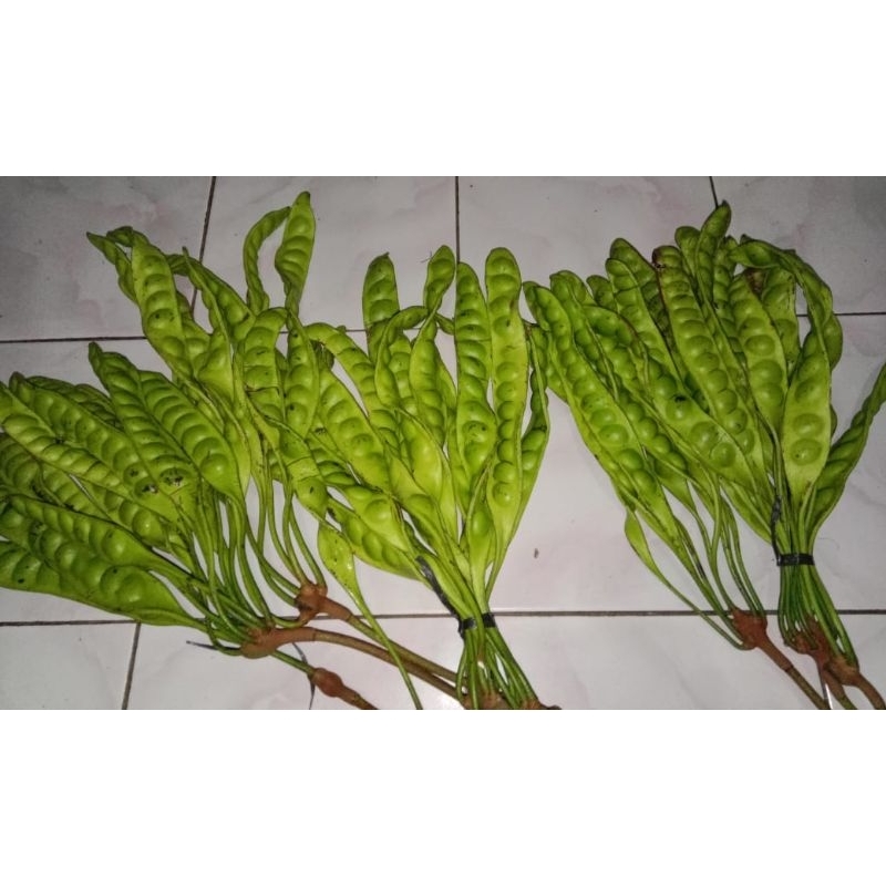 

PETE TUA SUPER 1 IKAT 10 PAPAN