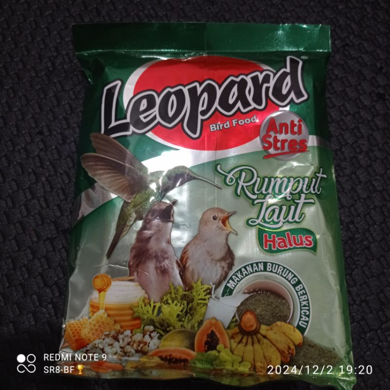 Leopard Hijau Halus Leopard Rumput Laut Voer Leopard