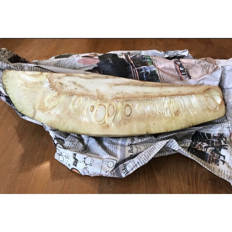 

nangka muda sayur harga per 1kg