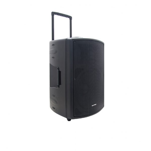 speaker portable 15 inch polytron paspro 15f3 paspro15f3 USB BT WITH 2MIC WIRELESS