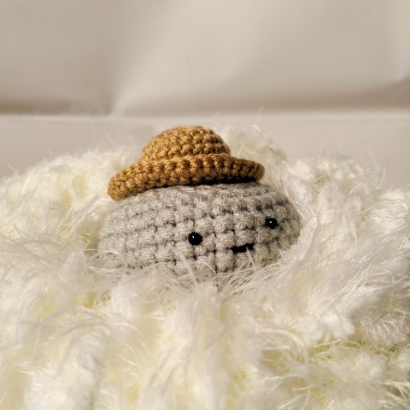 Ddolljjeong Pet Rock