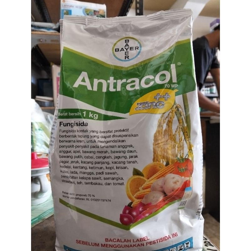 Antracol 70 WP 1KG