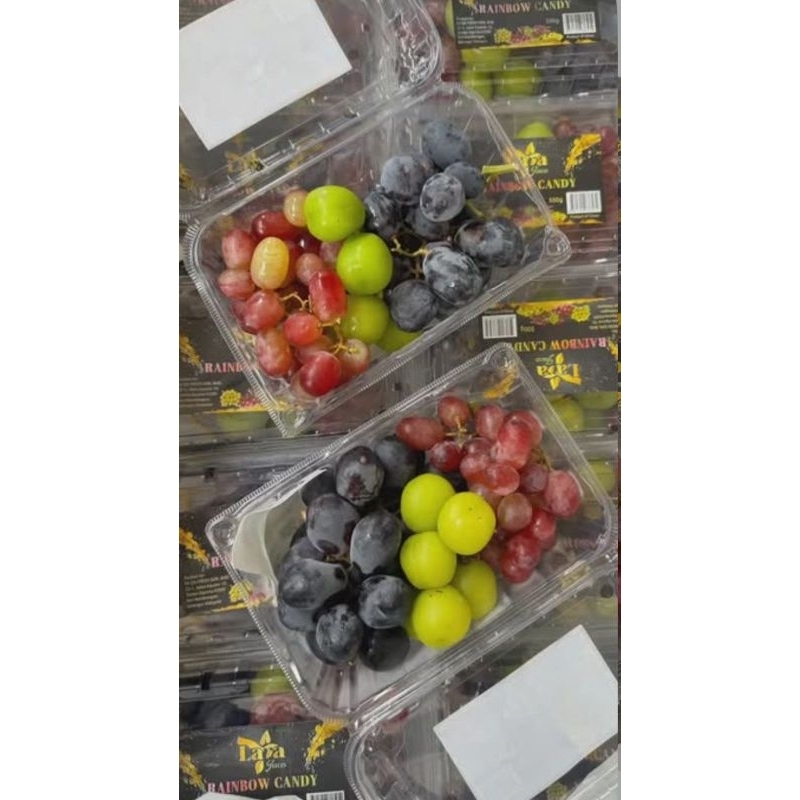 

ANGGUR Rainbow Candy Grapes 500gr