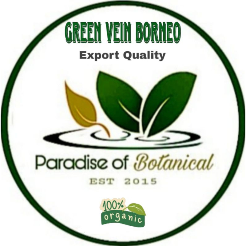 

Bubuk Herbal Green Vein Borneo Ultra S+ Kualitas Ekspor