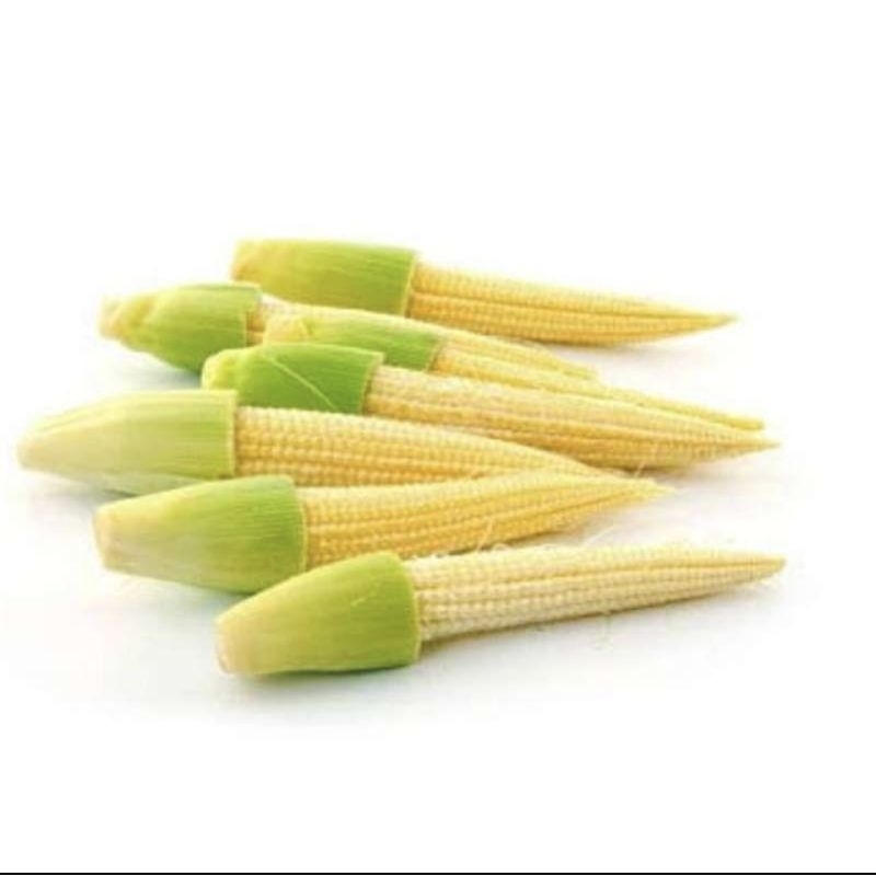 

Baby Corn