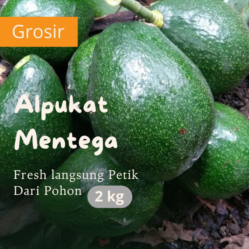 

Alpukat Mentega Super 2 kg