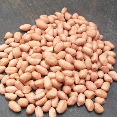 

[500 GRAM] Kacang Tanah 500gr