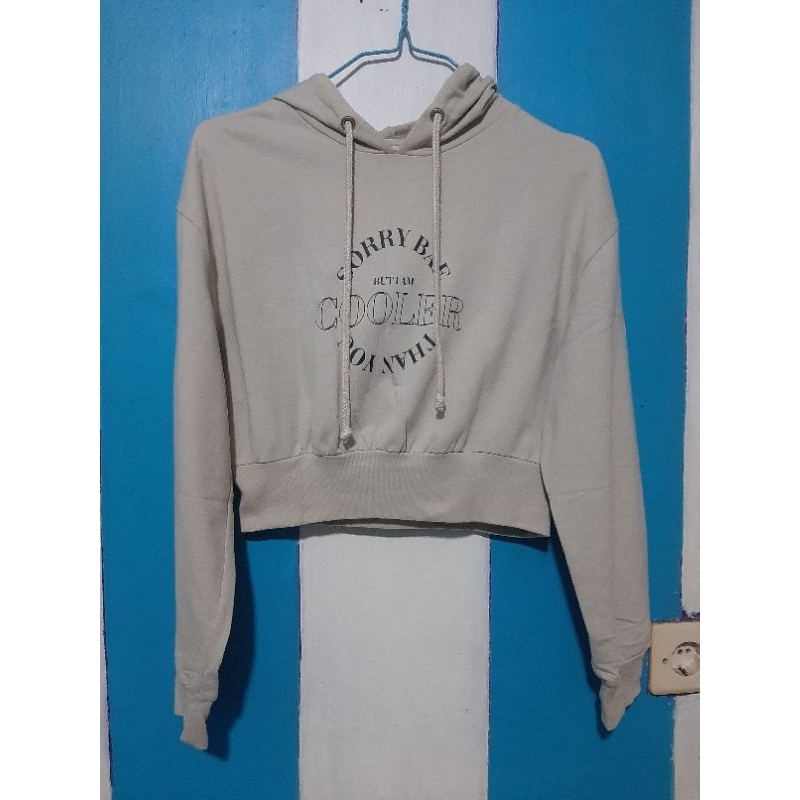 Hoodie Crop Wanita Colorbox