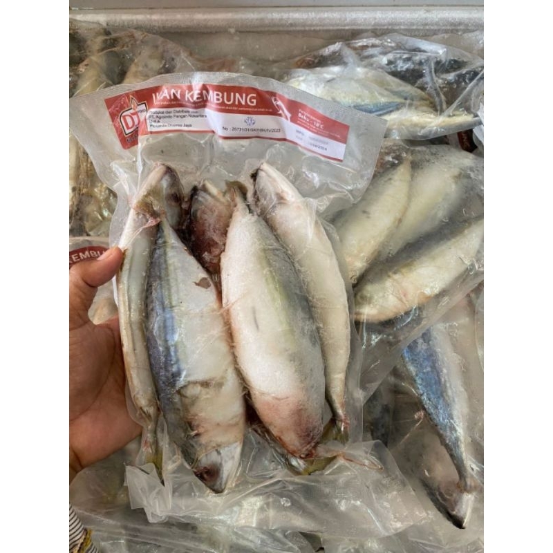 

Ikan Kembung Permium