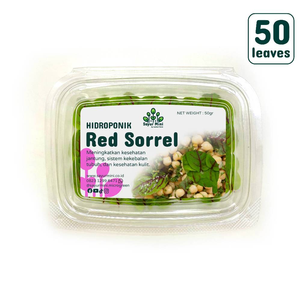 

SAYUR MINI Hidroponik Daun Red Sorrel 50 pcs - Fresh Cut - Red Sorrel Leaf - Hydroponics