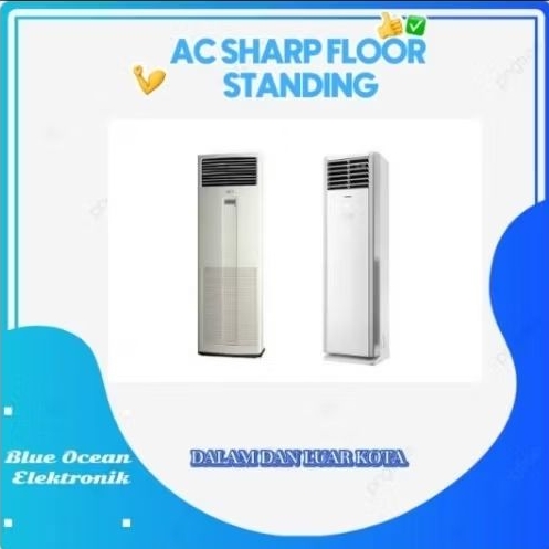 AC Sharp Floor Standing