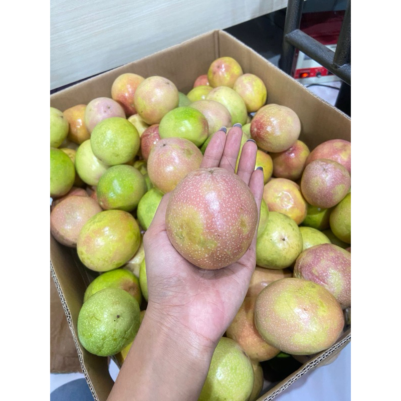 

buah markisa 1 kg asem seger