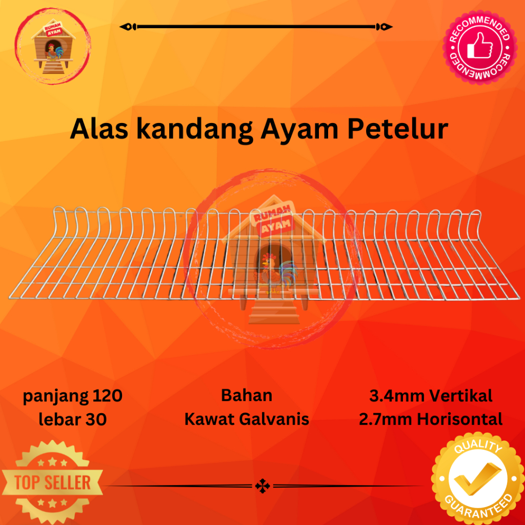 ALAS KANDANG AYAM PETELUR / TEMPAT TELUR (GALVANIS)