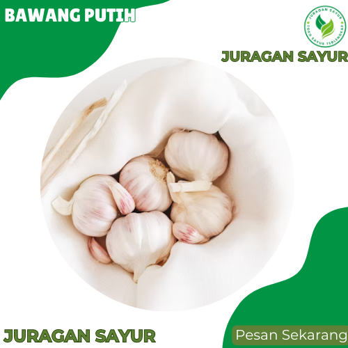 

Bawang Putih 500 Gram - Bawang Putih 1kg Termurah SUPER PREMIUM dan FRESH - Juragan Sayur