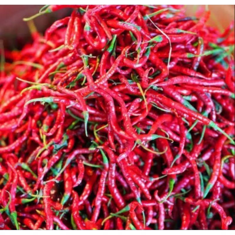 

cabai merah cabe merah cabai keriting per 1kg