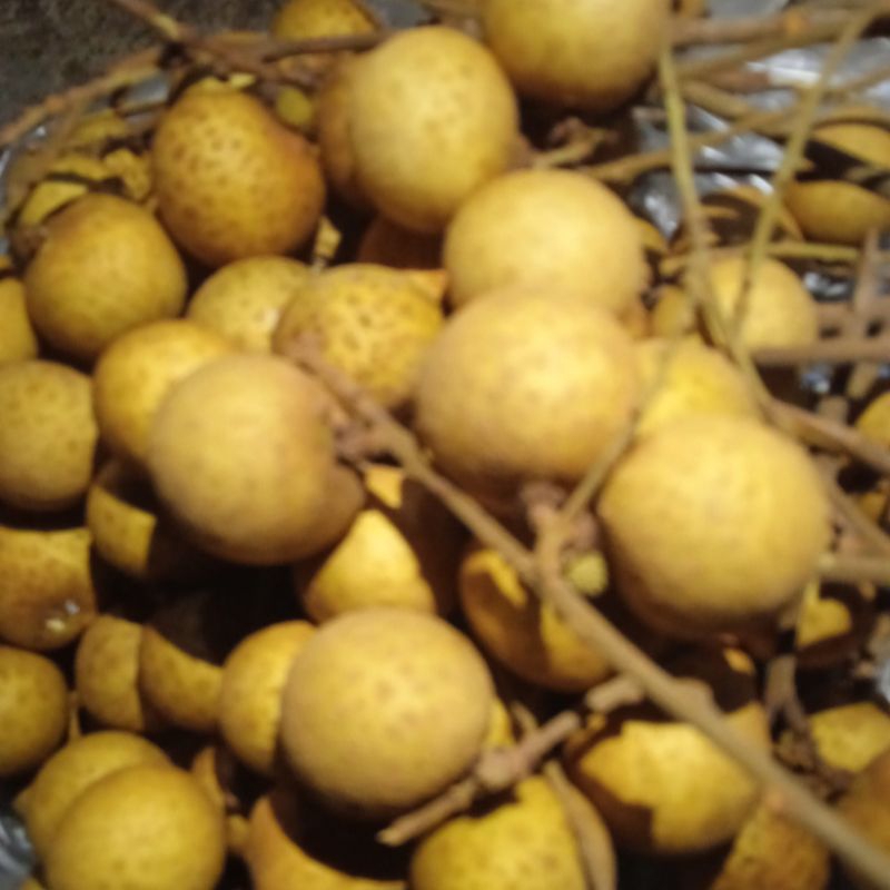 

Kelengkeng 500 gram