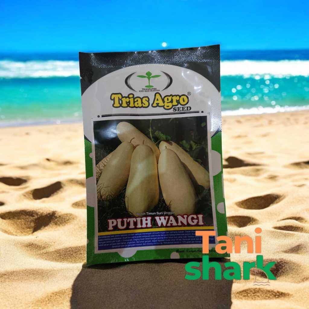 BENIH TIMUN SURI UNGGUL PUTIH WANGI - 10 GR