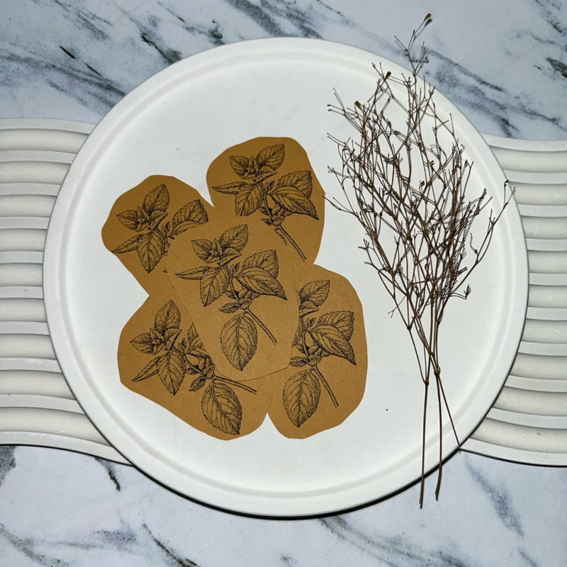 

Kertas Coklat Dekorasi Journaling Scrapbook Vintage