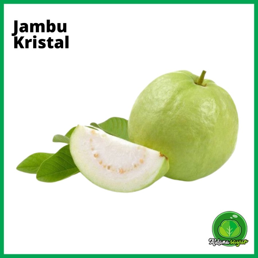 

Jambu Kristal aldana sayur garut 1kg