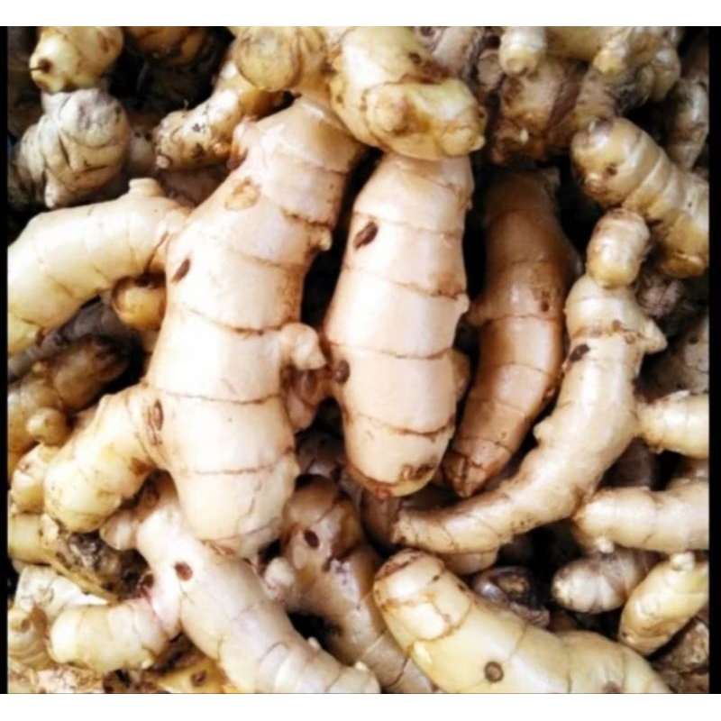 

KUNYIT PUTIH pres . herbal alami 1000gram ., temu putih segar/fres...
