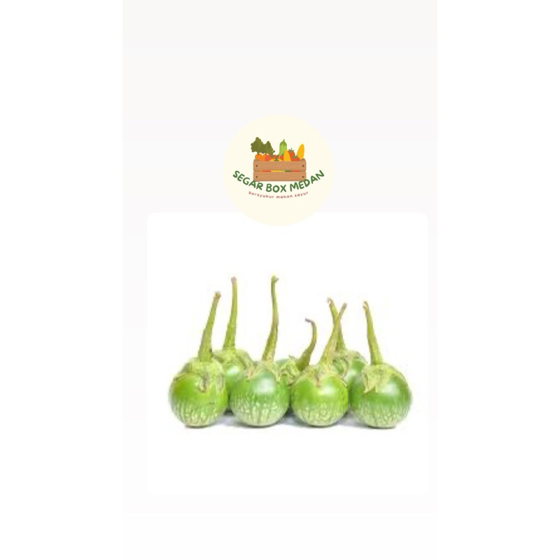 

TERONG BULAT 250-500 gr