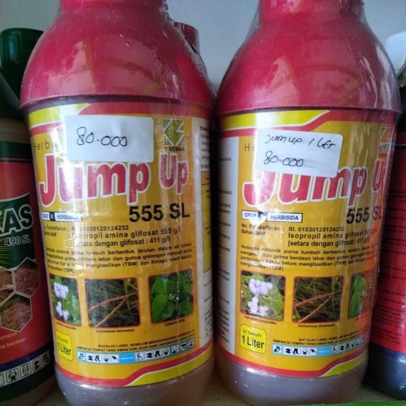 Herbisida Jump Up 1liter 555SL