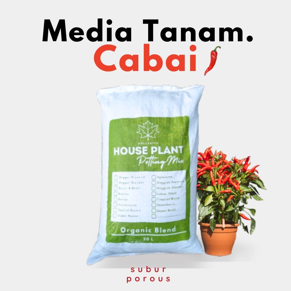 Media Tanam Cabai