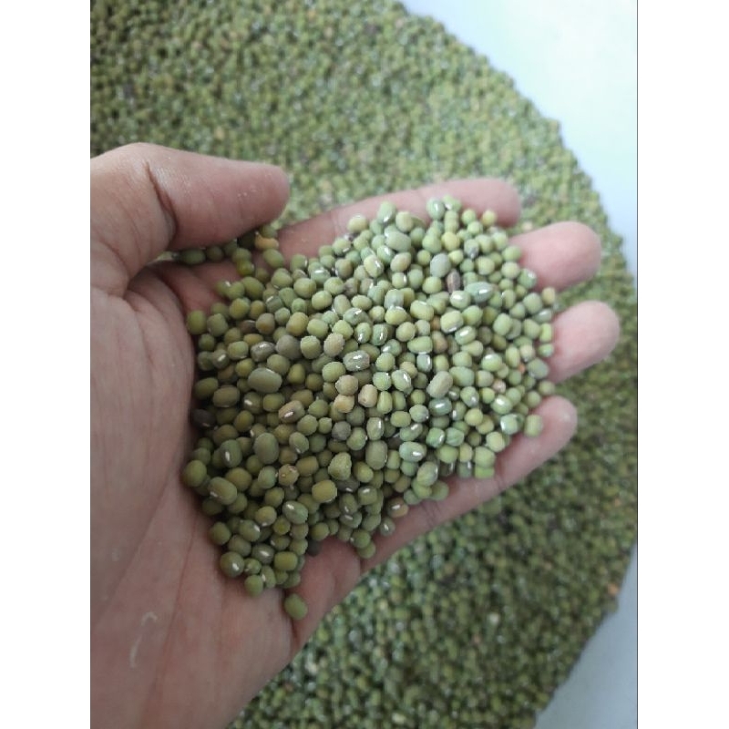

Kacang Hijau Ijo Lokal isi 100 Gram