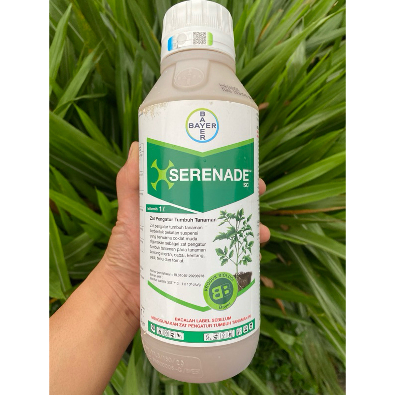 SERENADE " Zat Pengatur Tumbuh Tanaman "
