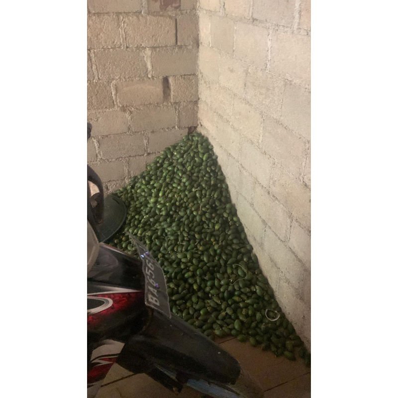 

STAMINA HERBAL PRIA Buah Pinang Muda Per 1 kg Fresh