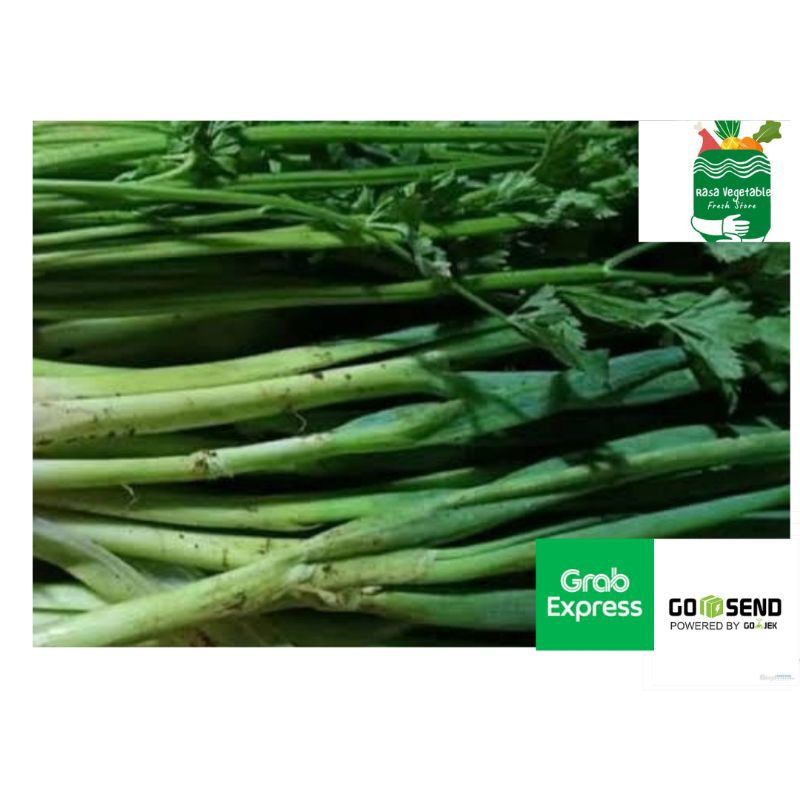 

daun bawang seledri 1 ikat