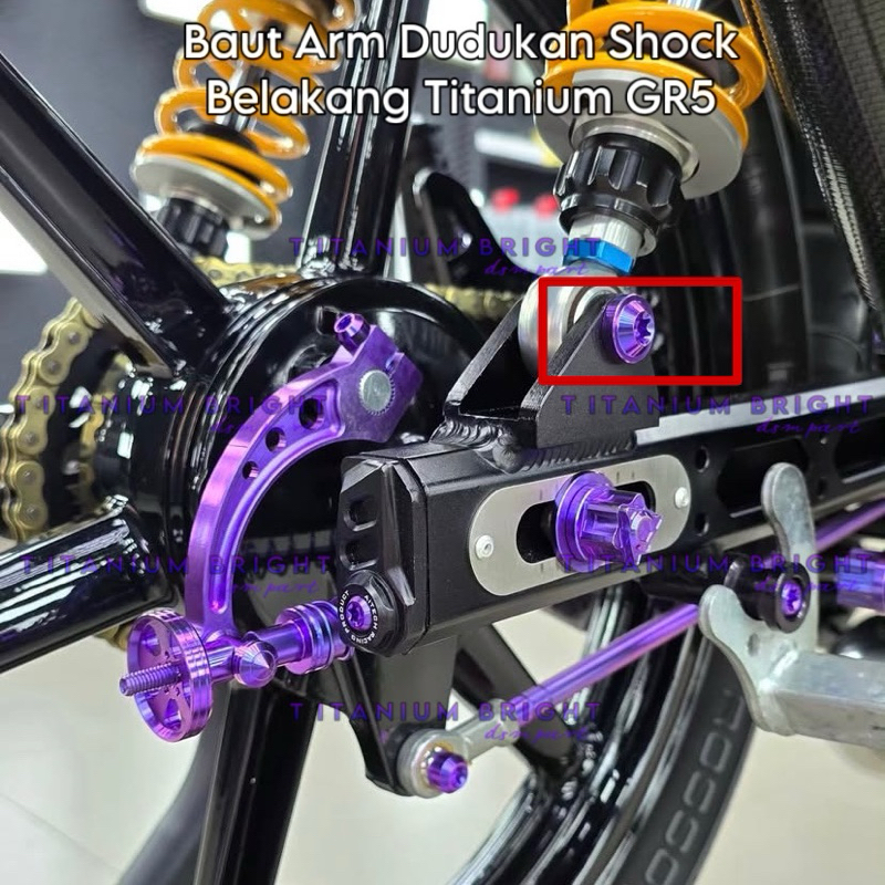 Baut Titanium shock arm belakang Rx king Tiger Fizr Kaze arm BPRO Aitech Original Titanium GR5 ( 2 B
