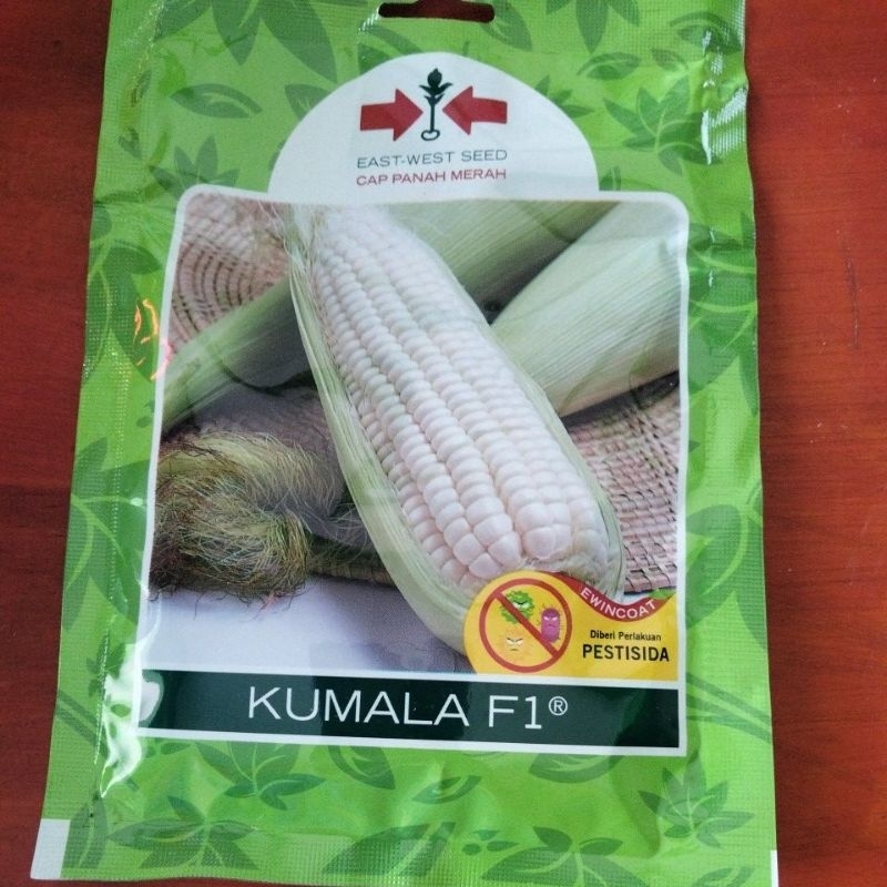 Benih Bibit Jagung Pulut ketan putih KUMALA F1 ISI 200 BUTIR EXP 310725