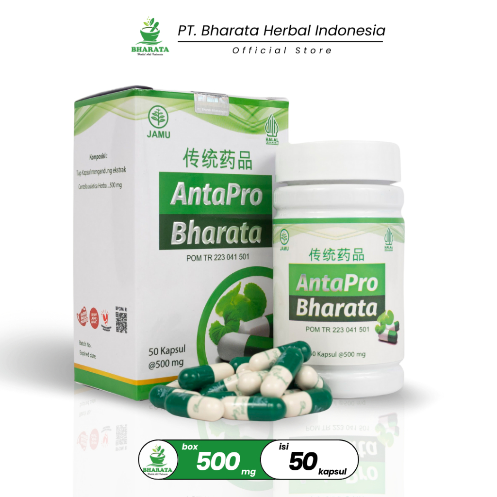 Antapro Bharata Obat Stroke Herbal Stroke Ringan Stroke Berat Stroke Sebelah