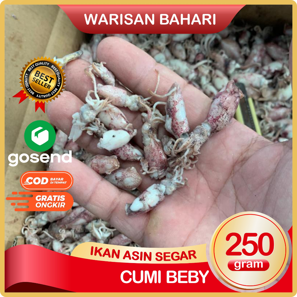 

Cumi Baby Ikan Asin Cumi Baby Rebus Asin Super BersihSegar Dan Fresh Cocok Untuk Sambal 250 Gram