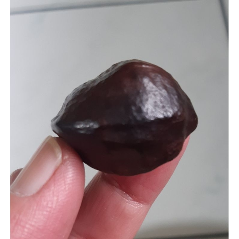 Kemiri Adu Muncang Adu Yanti Thanos Rajabatok Urgen Size Kecil