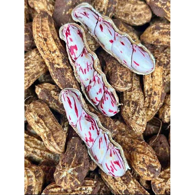 

kacang tanah lurik/kacang madu instan fres 500gram 1kg